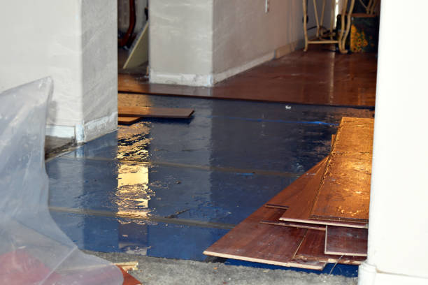Professional Burst Pipe Cleanup technician working in Wellington, CO