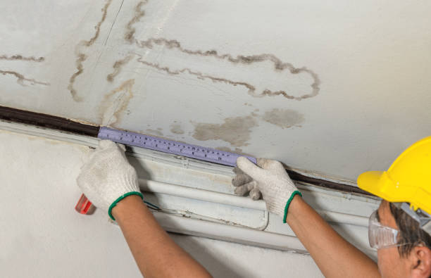 Reliable Burst Pipe Cleanup contractor in Wellington, CO by Water Damage Irwin